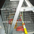 New Type Chick Brood Cage pour la ferme de poulet (un cadre)